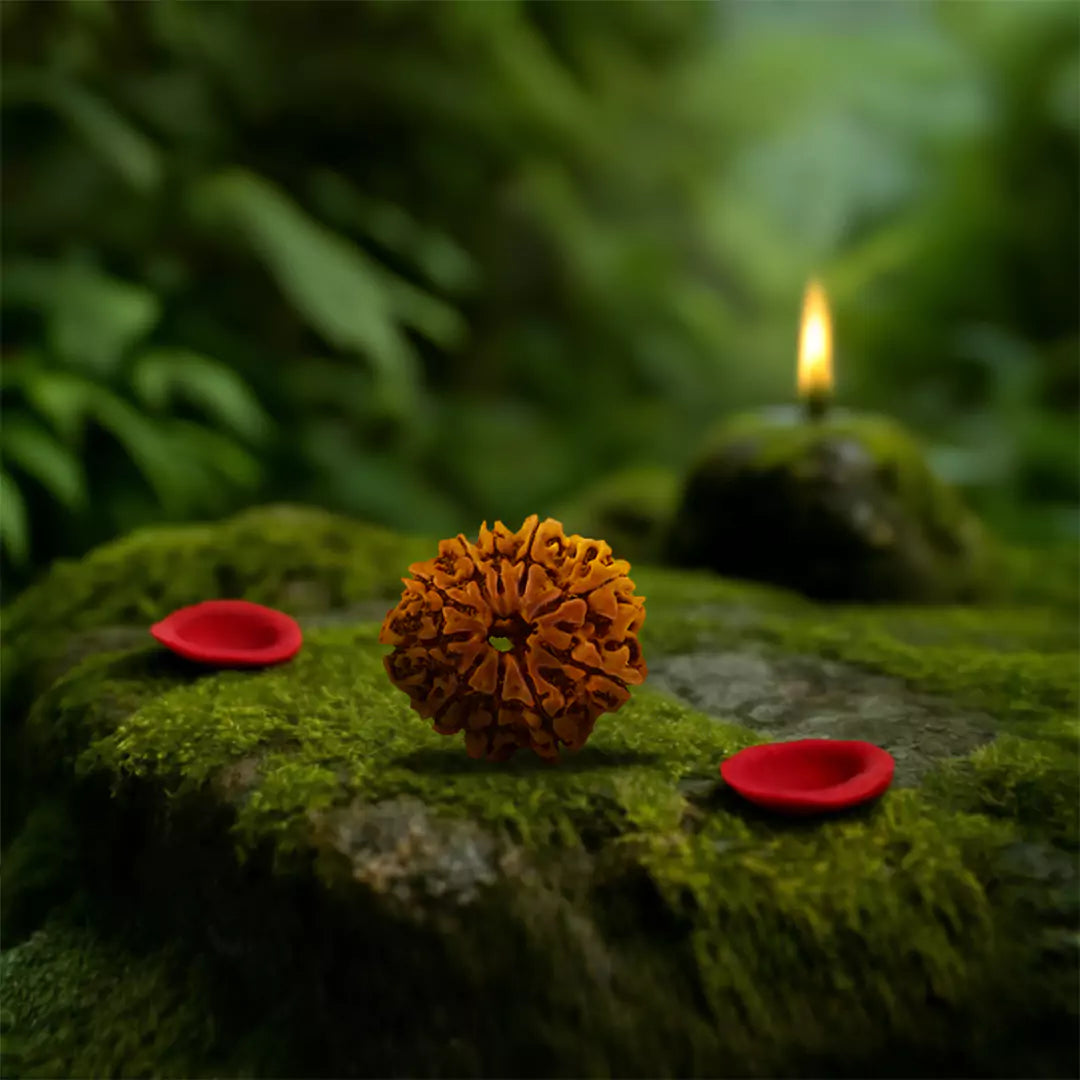 Original 10 Mukhi Nepali Rudraksha
