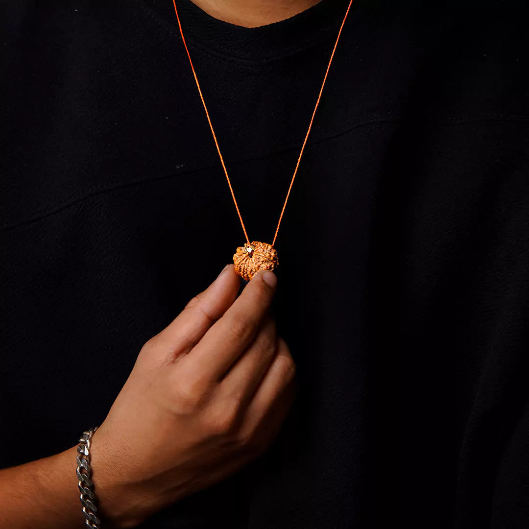 Original 11 Mukhi Nepali Rudraksha