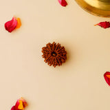 Original 12 Mukhi Nepali Rudraksha