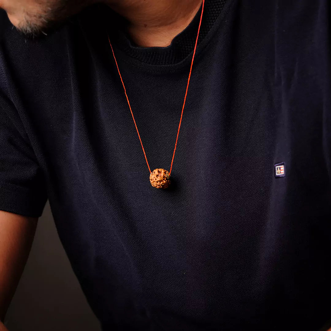 Original 3 Mukhi Nepali Rudraksha