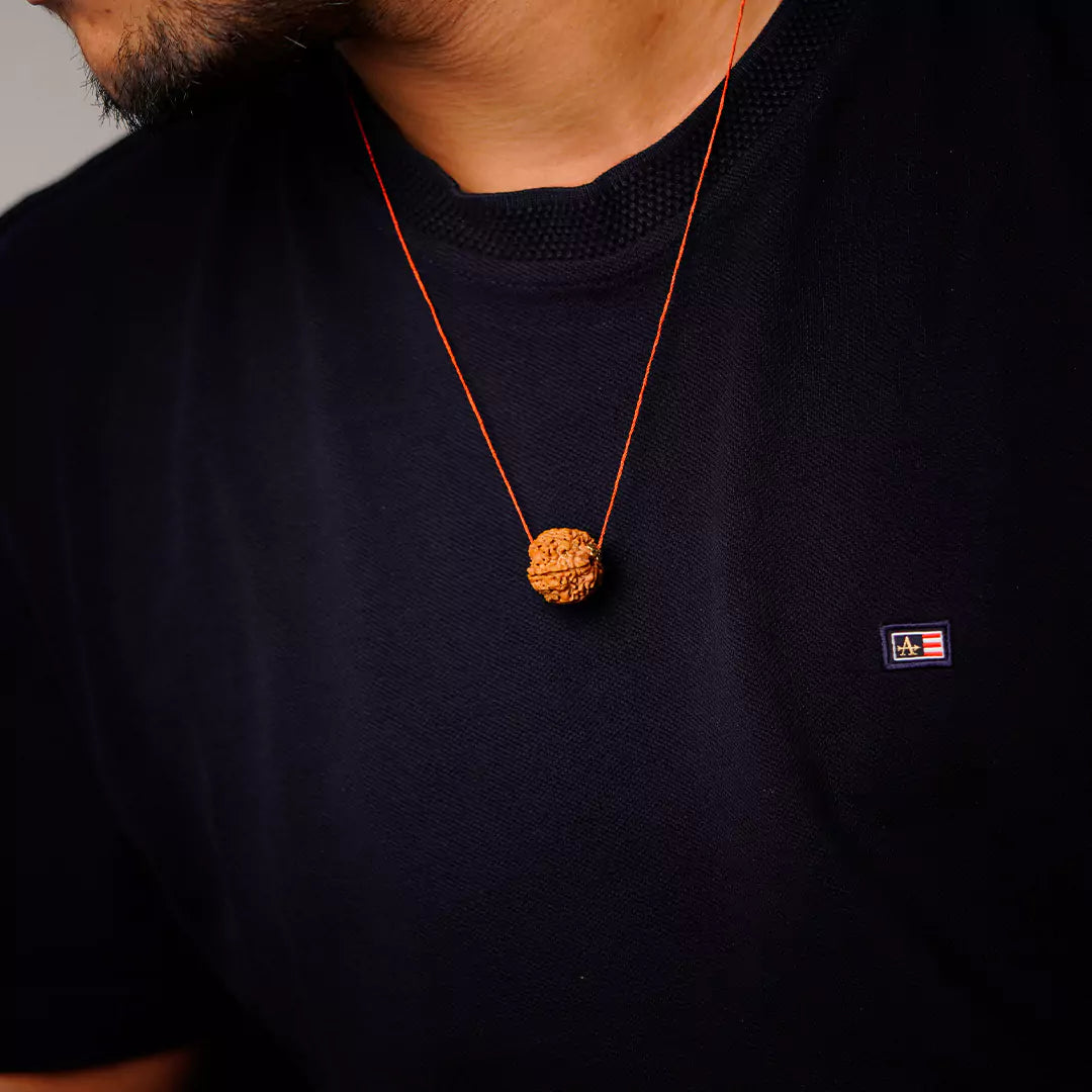 Original 5 Mukhi Nepali Rudraksha | Daivik Cart
