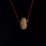 14 Mukhi Nepali Rudraksha