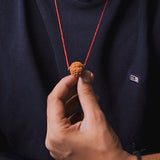 Original 5 Mukhi Nepali Rudraksha | Daivik Cart