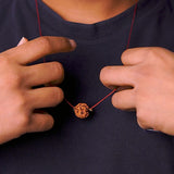 Original 3 Mukhi Nepali Rudraksha